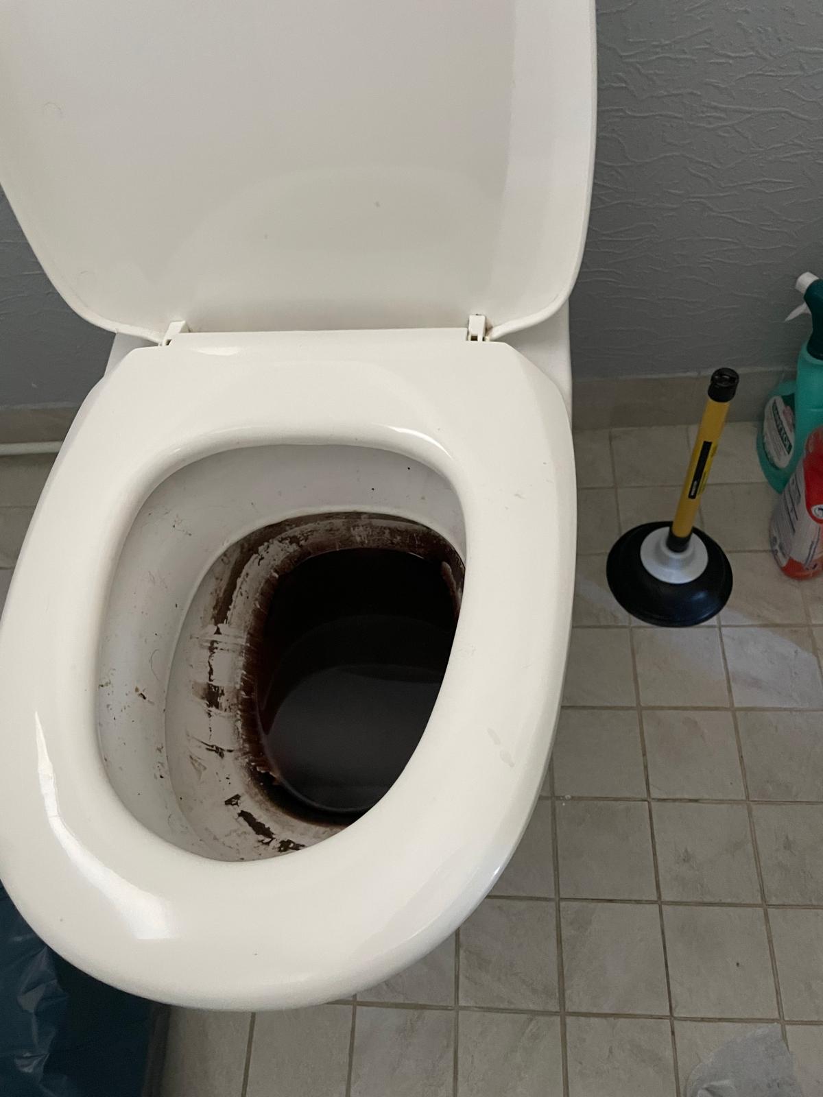 viemärinavausaine ei auta, tukkeutunut WC pönttö joka ei auennut viemärinavausaineella